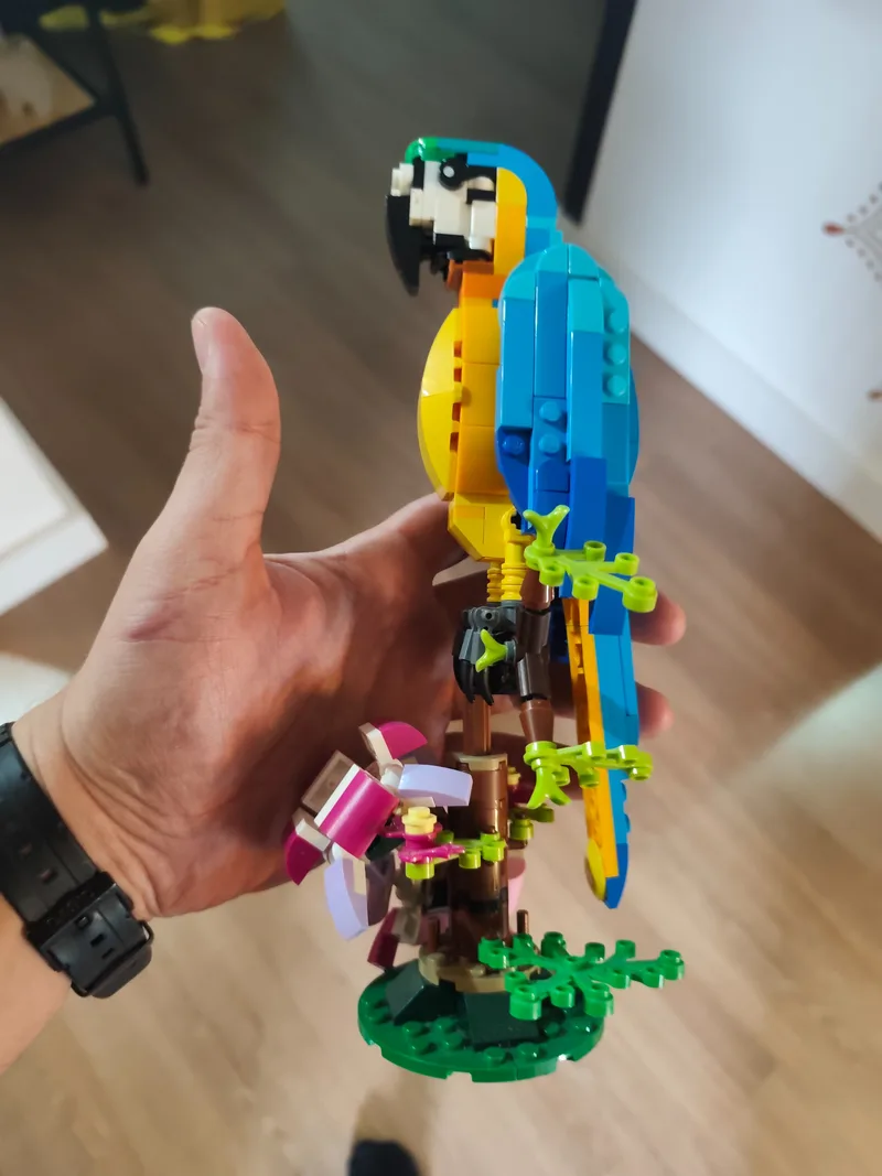 Foto original do celular — Arara de LEGO